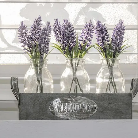 Captains Σκάρμπορο